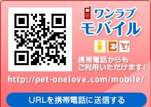 モバイル
