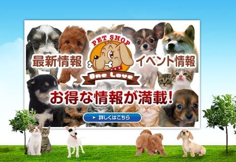 ペットショップワンラブ お得な最新情報が満載！