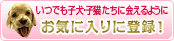 お気に入りに登録