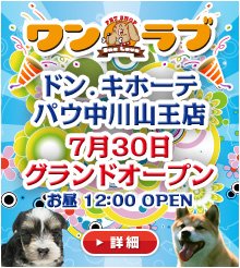ドン・キホーテ中川山王店　7/30　グランドオープン！！