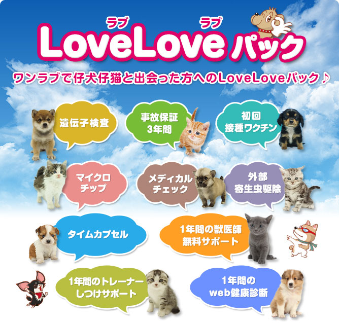 LoveLove パック ワンラブで仔犬仔猫と出会った方へのLoveLoveパック♪